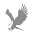 MLC icon