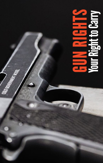 gun-rights gun-rights